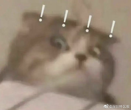 一學(xué)校家委會(huì)被投訴收班費(fèi)向教師送禮，部門：未發(fā)現(xiàn)違規(guī)