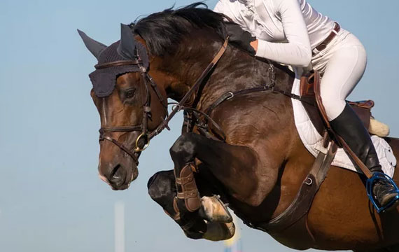 2020超級馬術俱樂部聯賽（天星調良馬術第六站）