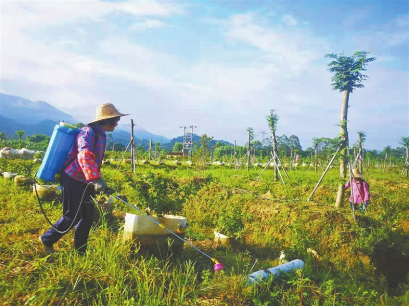 A04版 2021年03月08日.jpg