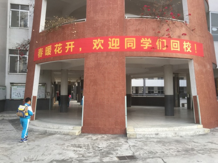 陽光雍?。杭t領(lǐng)巾心向黨 向陽向上生長