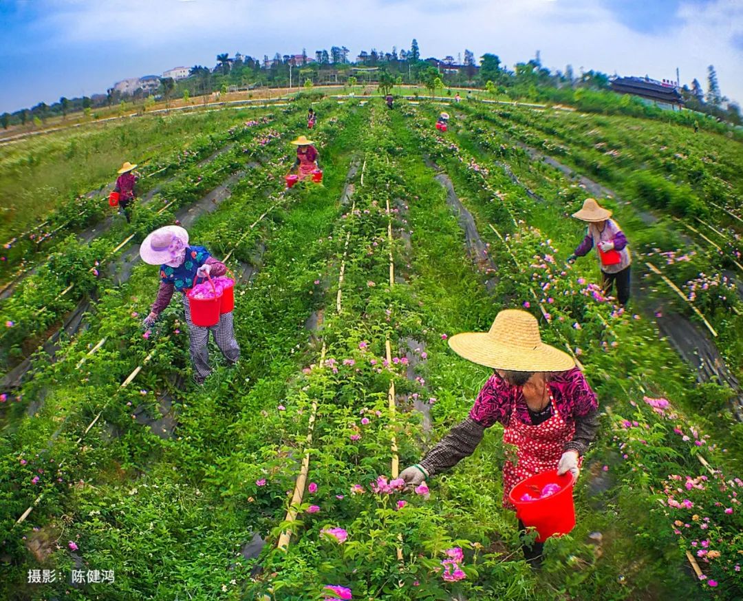 pexels-photo-3878527.jpeg 圖片