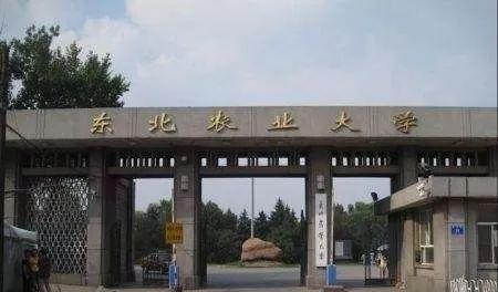 兩校合并，黑龍江將迎來一所新大學(xué)？教育廳有明確回復(fù)，值得期待