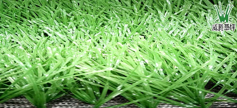 足球場人造草坪