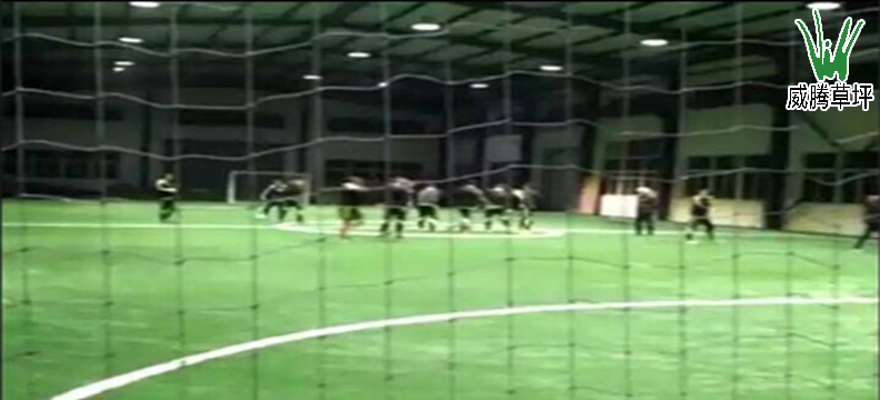 泰州場地人造草坪足球場-威騰