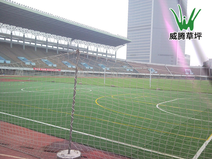 無錫新體育中心人造草坪足球場