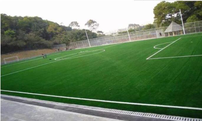 人造草坪 人造草坪