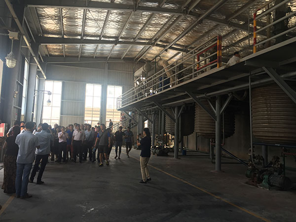 田徑場地 田徑場地