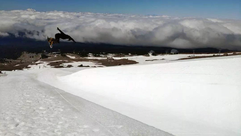 體育總局 體育總局