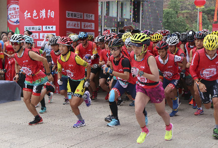 體育總局 體育總局