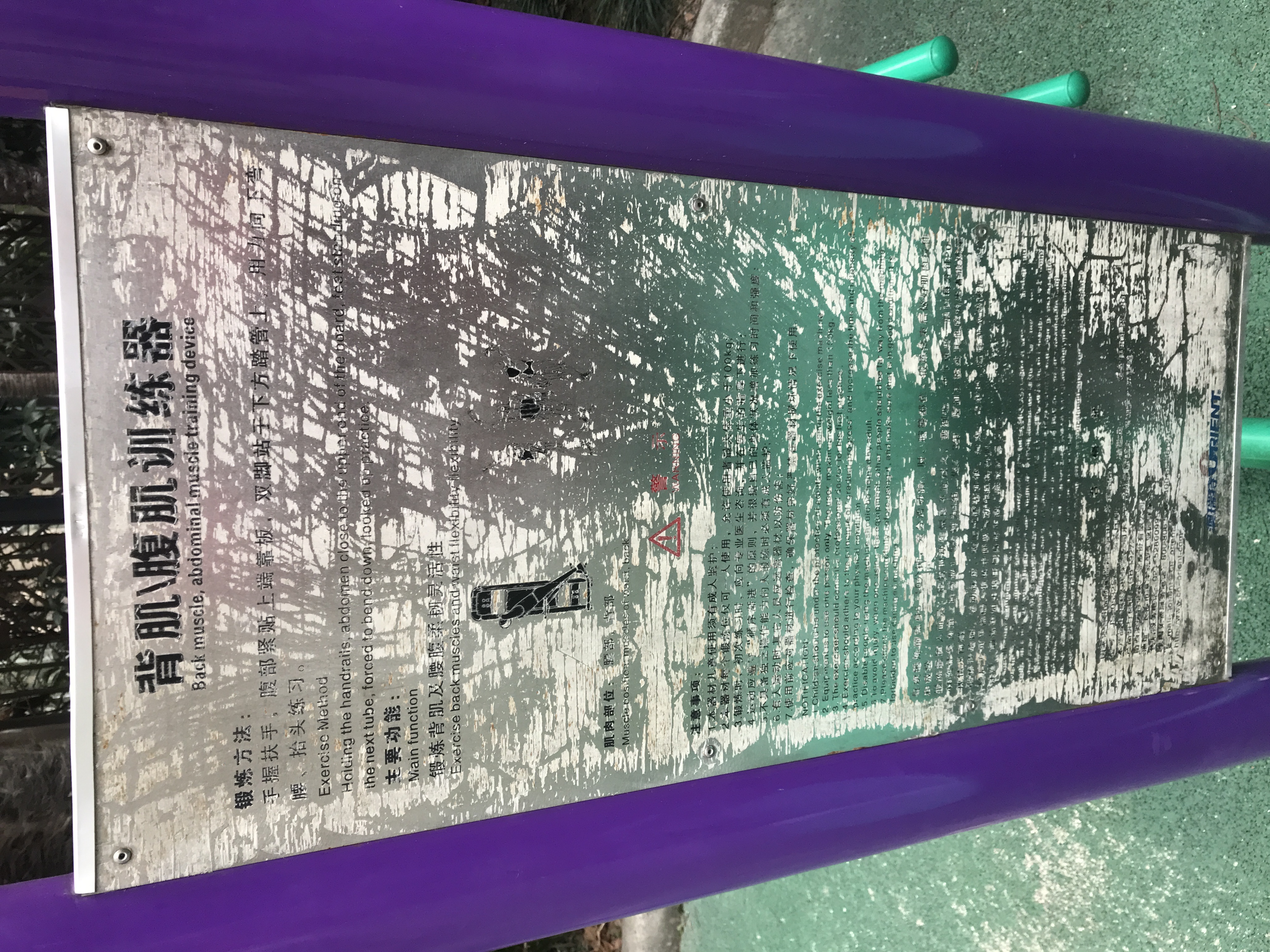 腹背鍛煉器 腹背鍛煉器