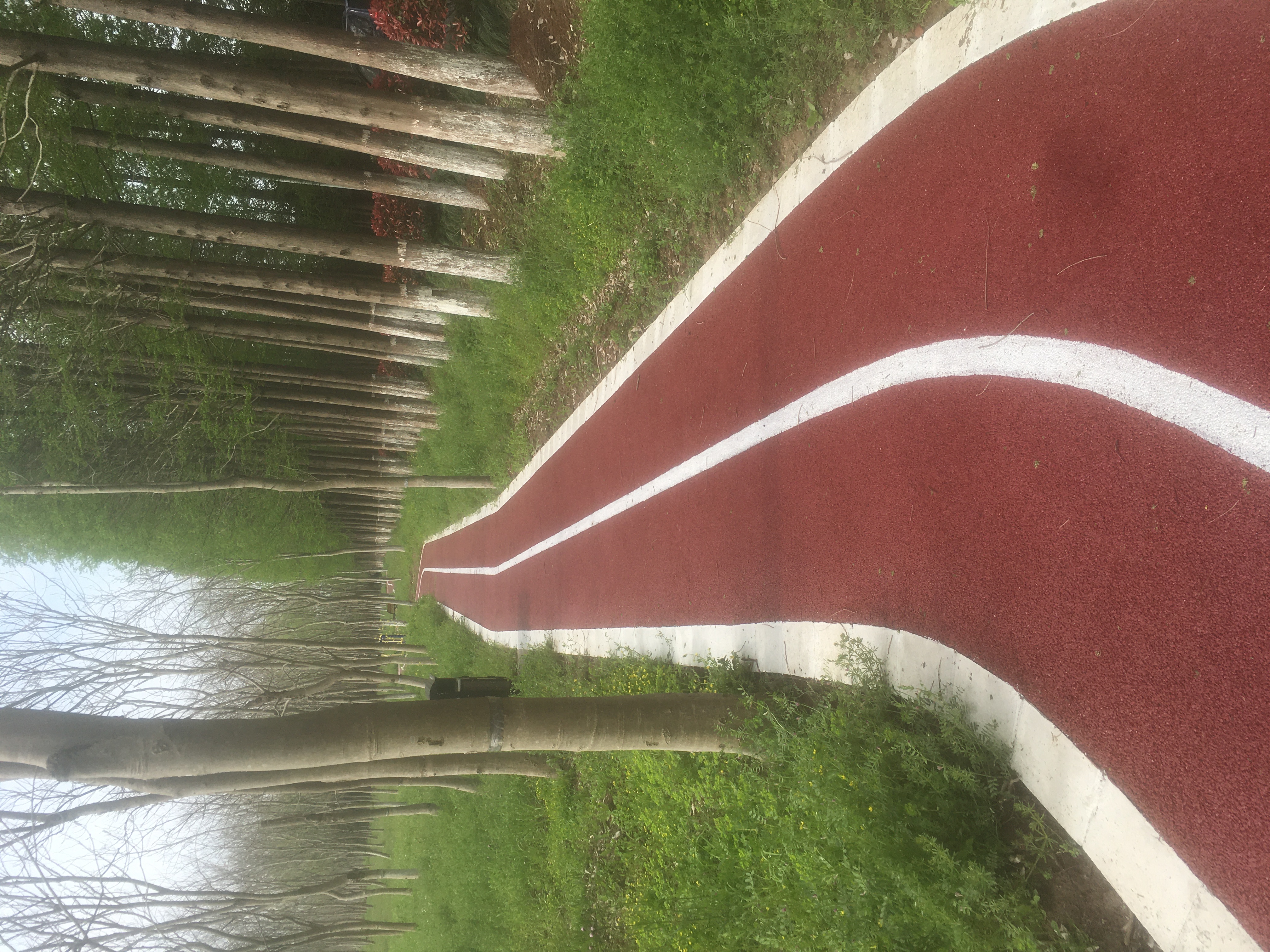 江鎮(zhèn)村濟(jì)民健身步道