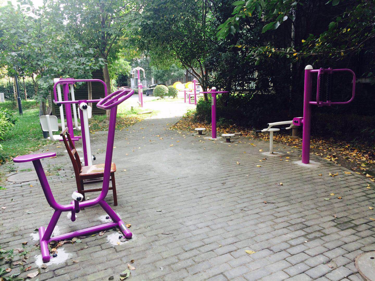 顓橋鎮(zhèn)楓澤苑健身點B