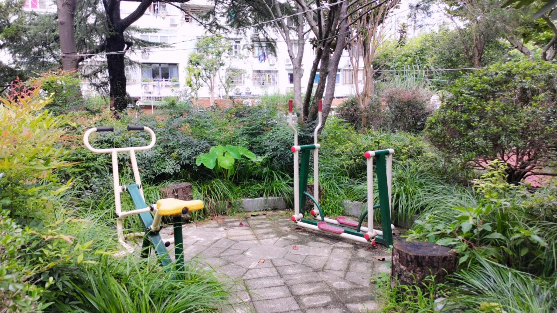 曹楊五村199號健身點(diǎn)