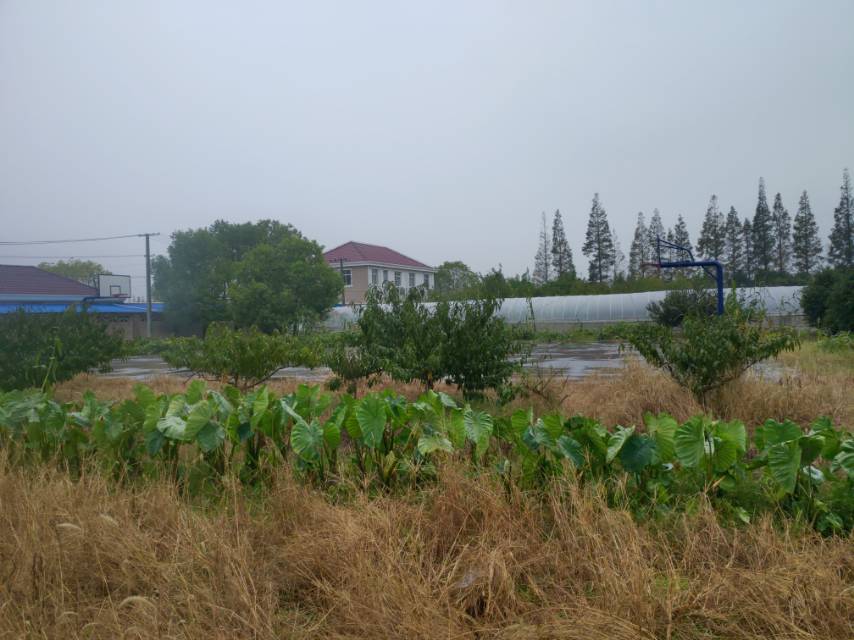 雙津村健身步道3