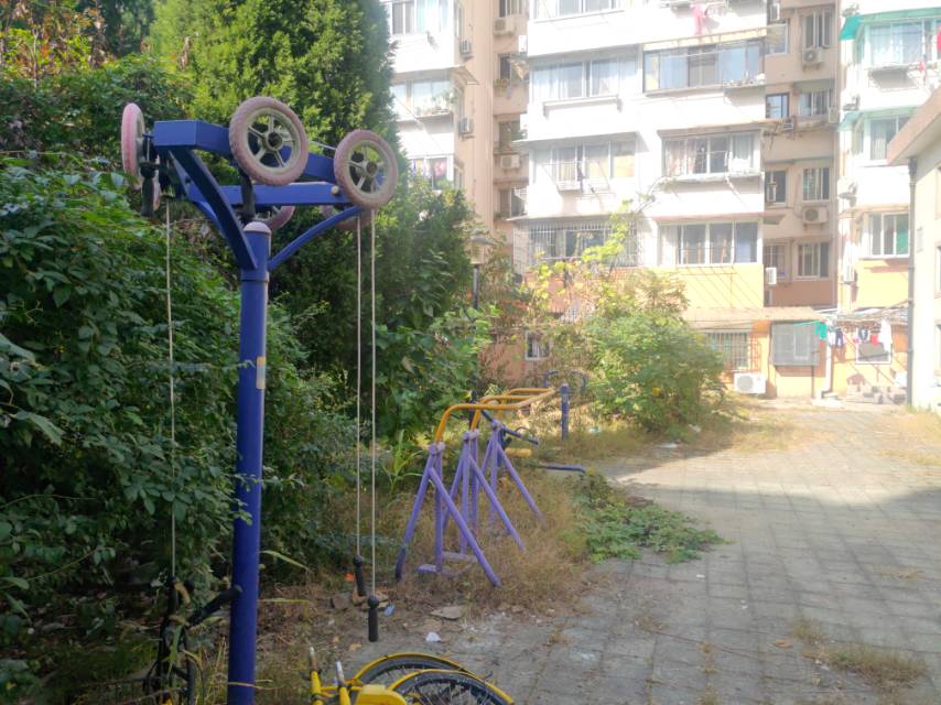 川新100支弄20號(hào)小花園