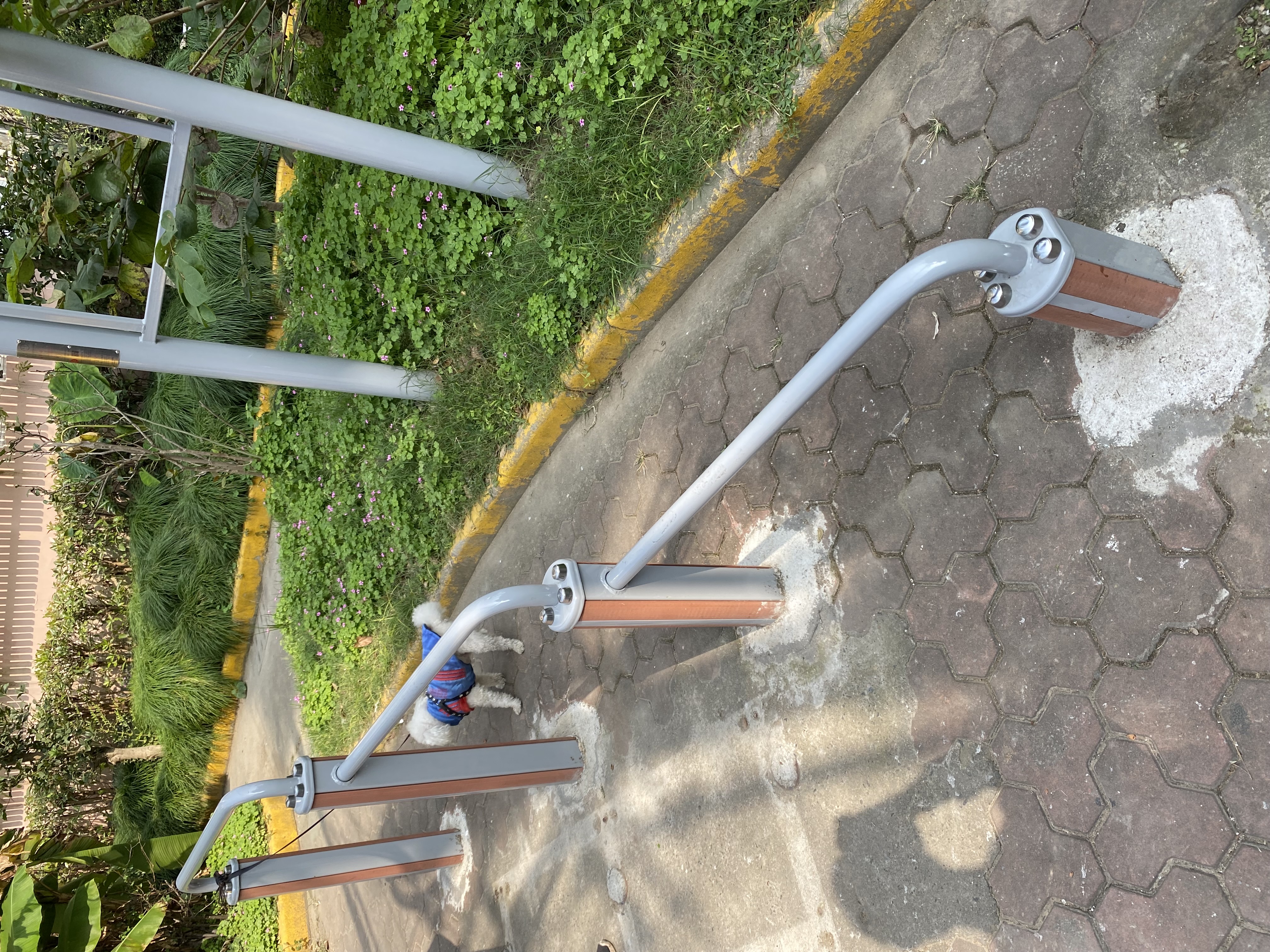 彈震壓腿器 彈震壓腿器