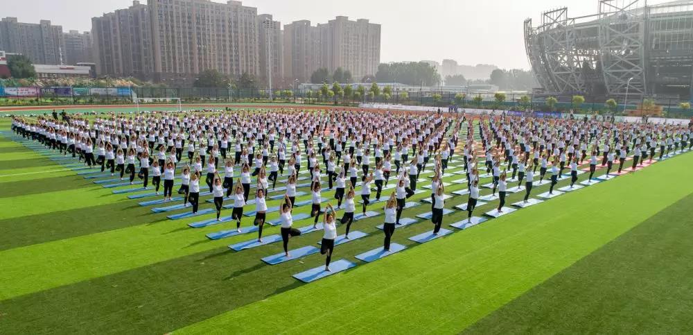 運(yùn)動(dòng)場(chǎng) 運(yùn)動(dòng)場(chǎng)