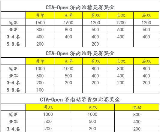 2019年中國業(yè)余網(wǎng)球公開賽――濟南白金賽補充通知