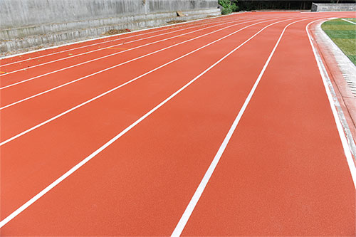 廣東省體育運動技術(shù)學院