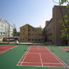 利達硅pu籃球場地坪材料硅pu籃球場地坪漆施工湖南硅pu球場材料廠家、硅PU球場效果設計價格、籃球場包工包料施工