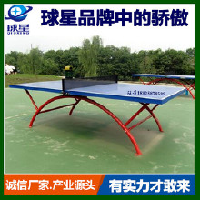 精品推薦學(xué)校體育器材,體育器材、全國就選東莞長安球星體育器材