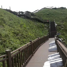 我們供健身路徑 戶外健身器材  健身路進(jìn)徑 買(mǎi)健身器材  就選東莞球星