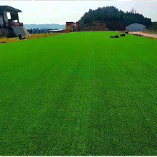 足球場人造草坪、幼兒園人造草坪、門球場人造草坪、人造草坪生產(chǎn)、人造草坪定制質(zhì)量可靠廠家定制歡迎咨詢