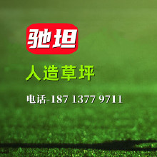 人造草坪工程 人造草坪價格 人造草坪 幼兒園操場足球場 人工草皮 仿真草皮 人造草坪
