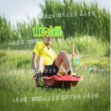 北京利達(dá)環(huán)保無毒丙烯酸球場(chǎng)材環(huán)保 體育設(shè)施材料 硅pu球場(chǎng)塑膠跑道老人院健身體育器材 體育游樂設(shè)施 體育健身器材供應(yīng)商