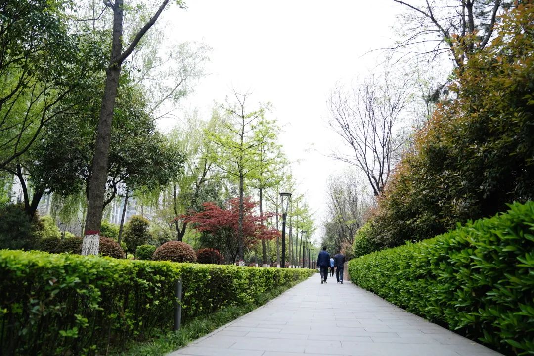 創(chuàng)文創(chuàng)衛(wèi)有你有我丨華商報(bào)：唐城墻遺址公園塑膠跑道開建 ！(圖3)