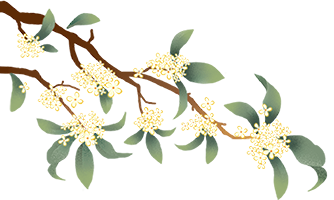 圓滿成功！2024年廣東省“百縣千鎮(zhèn)萬(wàn)村”系列賽——千鎮(zhèn)乒乓球中山市級(jí)總決賽(圖30)